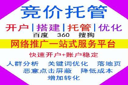 SEM服务公司成功案例解读